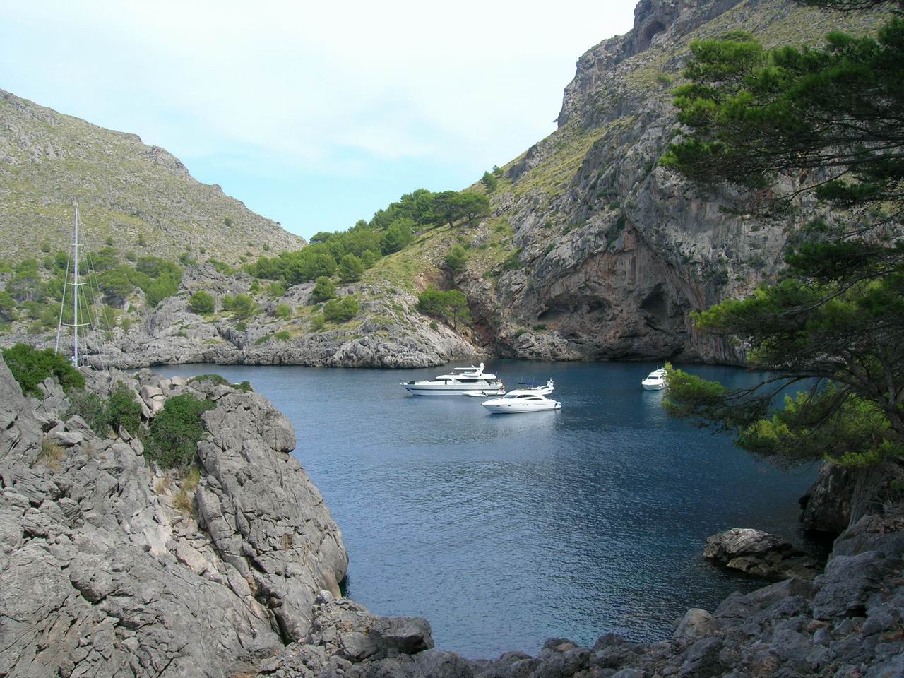Torrent de Parreis